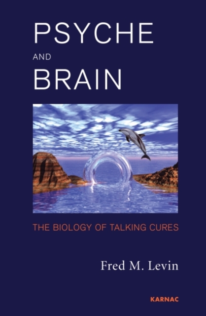Psyche and Brain : The Biology of Talking Cures, Paperback / softback Book