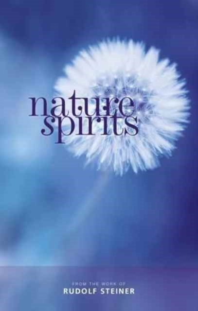 Nature Spirits, Paperback / softback Book