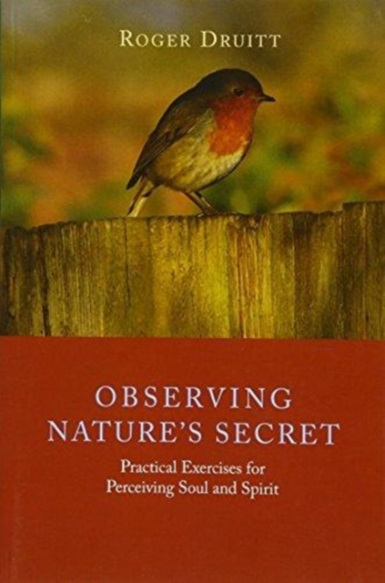Observing Nature's Secret : Practical Exercises for Perceiving Soul and Spirit, Paperback / softback Book