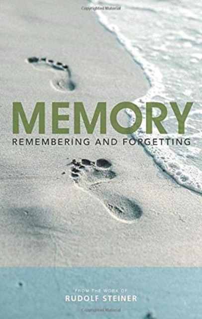 Memory : Remembering and Forgetting, Paperback / softback Book