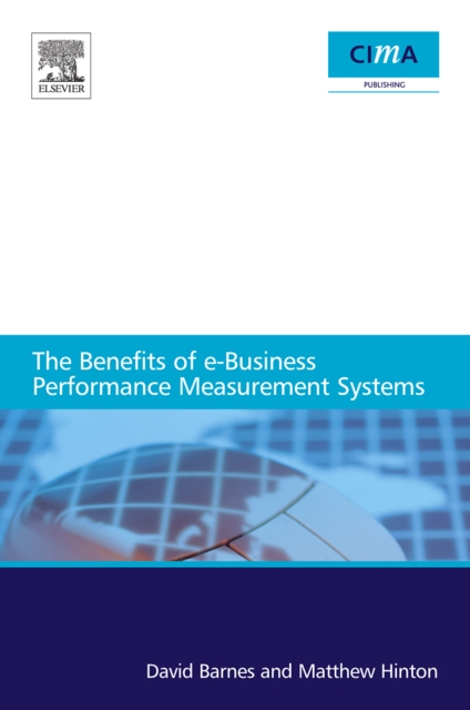The Benefits of E-Business Performance Measurement Systems, Paperback Book