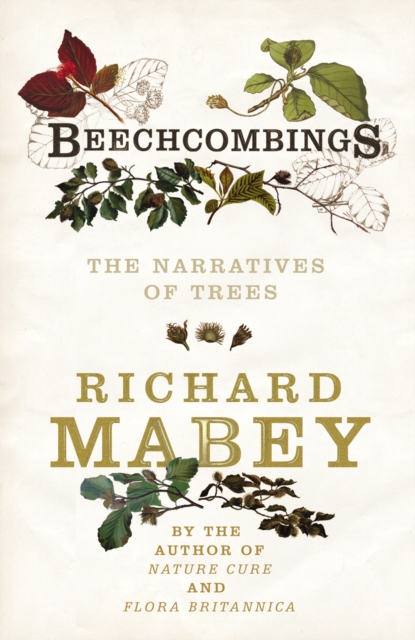 Beechcombings : The narratives of trees, Hardback Book