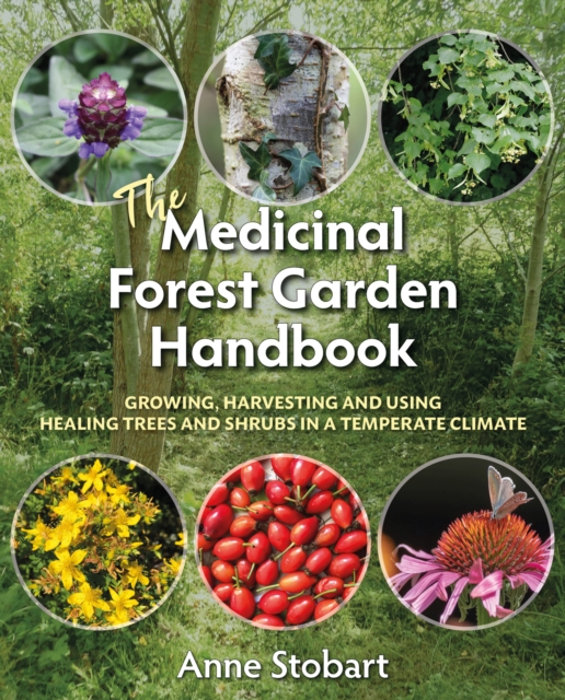 The Medicinal Forest Garden Handbook : Growing, harvesting and using healing trees and shrubs in a temperate climate, Paperback / softback Book
