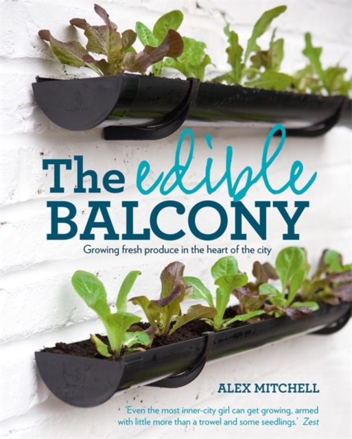 The Edible Balcony, Paperback / softback Book