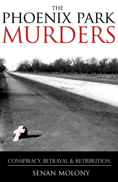 The Phoenix Park Murders : Murder, Betrayal and Retribution, Paperback / softback Book