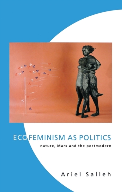 Ecofeminism as Politics : Nature, Marx and the Postmodern, Paperback / softback Book