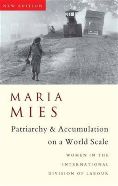 Patriarchy and Accumulation on a World Scale : Women in the International Division of Labour, Hardback Book