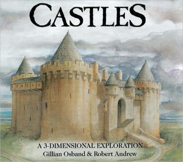 Castles : a 3-Dimensional Exploration, Hardback Book