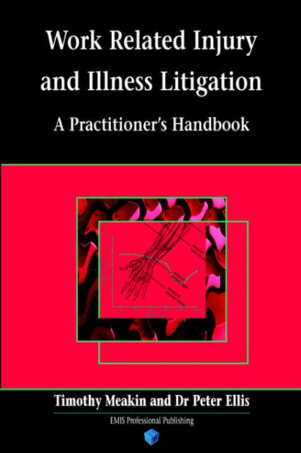 Work Related Injury Litigation : A Practical Guide, Paperback / softback Book
