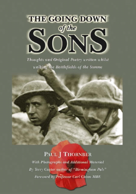 The Going Down of the Sons, Paperback / softback Book