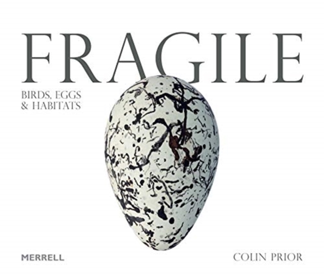 Fragile: Birds, Eggs & Habitats, Hardback Book