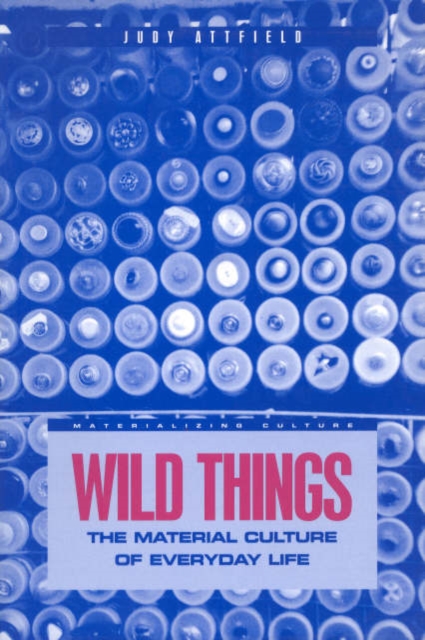 Wild Things : The Material Culture of Everyday Life, Paperback / softback Book