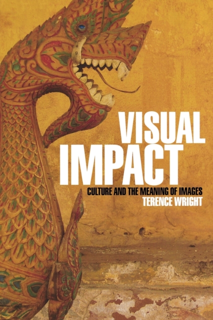 Visual Impact : Culture and the Meaning of Images, Paperback / softback Book