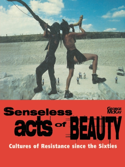 Senseless Acts of Beauty : Cultures of Resistance since the Sixties, Paperback / softback Book