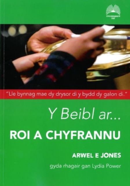 Y Beibl Ar... Roi a Chyfrannu, Paperback / softback Book
