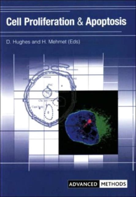 Cell Proliferation and Apoptosis, Paperback / softback Book
