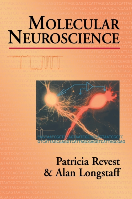 Molecular Neuroscience, Paperback / softback Book