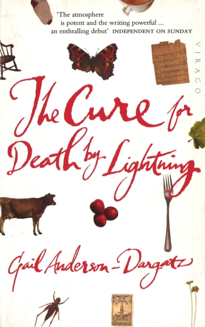 The Cure For Death By Lightning, Paperback / softback Book