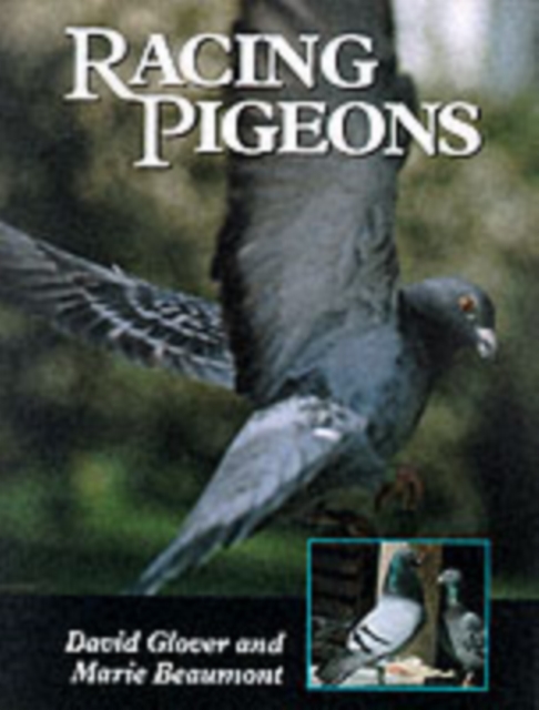 Racing Pigeons, Hardback Book