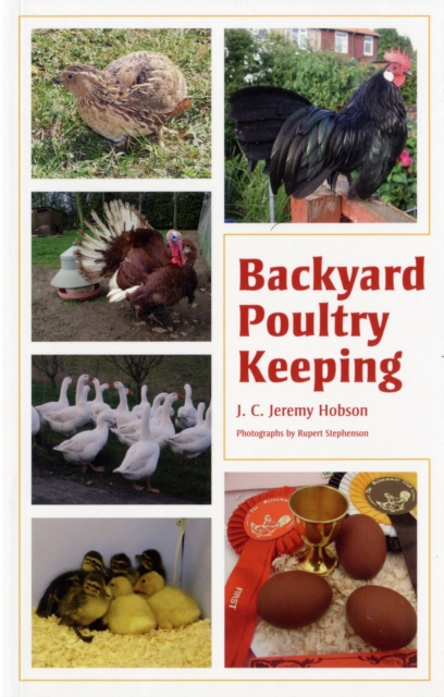 Backyard Poultry Keeping, Paperback / softback Book