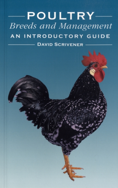 Poultry Breeds and Management : An Introductory Guide, Paperback / softback Book