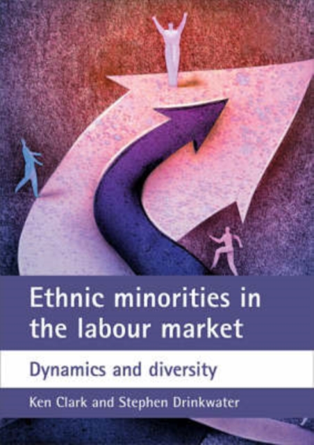 Ethnic minorities in the labour market : Dynamics and diversity, Paperback / softback Book