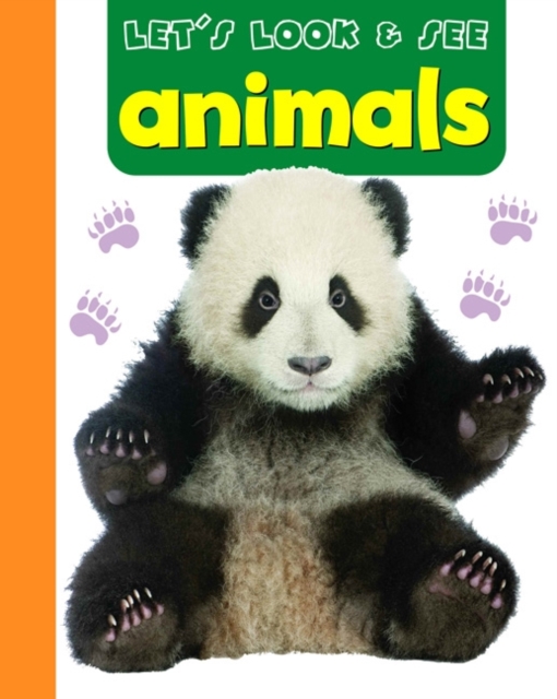 Let's Look & See: Animals, Board book Book