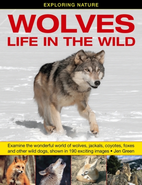 Exploring Nature: Wolves - Life in the Wild : Examine the Wonderful World of Wolves, Jackals, Coyotes, Foxes and Other Wild Dogs, Shown in 190 Exciting Images, Hardback Book