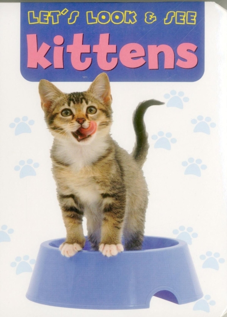 Let's Look & See: Kittens, Board book Book