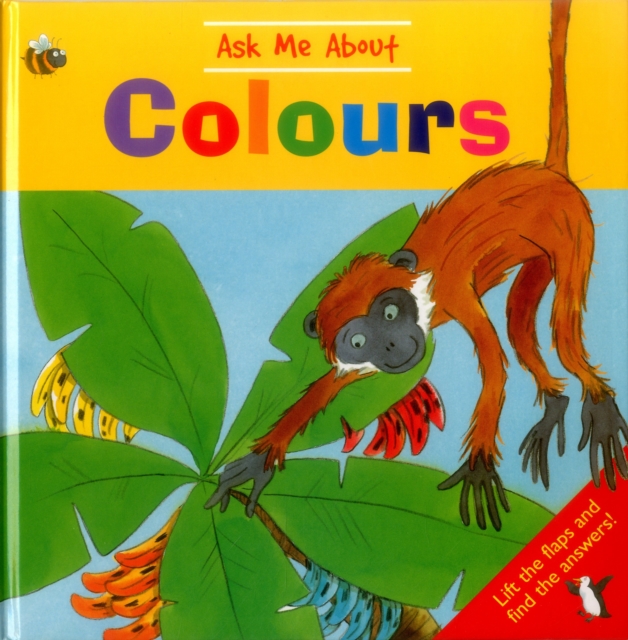 Ask Me About Colours, Hardback Book