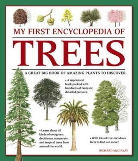 My First Encyclopedia of Trees (giant Size), Paperback / softback Book