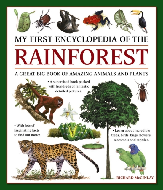 My First Encyclopedia of the Rainforest : A Great Big Book of Amazing Animals and Plants, Paperback / softback Book