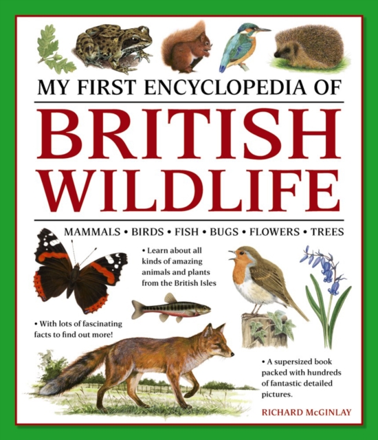 My First Encyclopedia of British Wildlife : Mammals, Birds, Fish, Bugs, Flowers, Trees, Paperback / softback Book