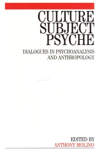 Culture, Subject, Psyche : Dialogues in Psychoanalysis and Anthropology, Paperback / softback Book