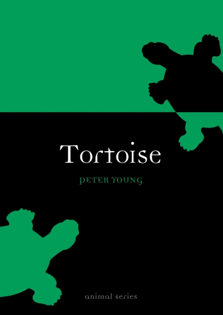 Tortoise, Paperback / softback Book