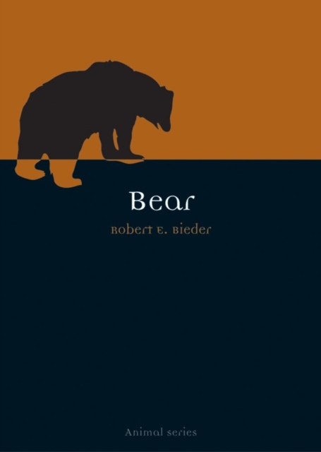 Bear, Paperback / softback Book
