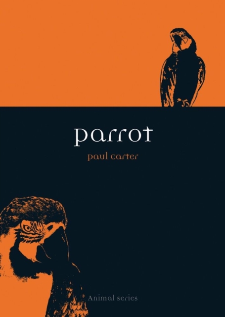 Parrot, Paperback / softback Book