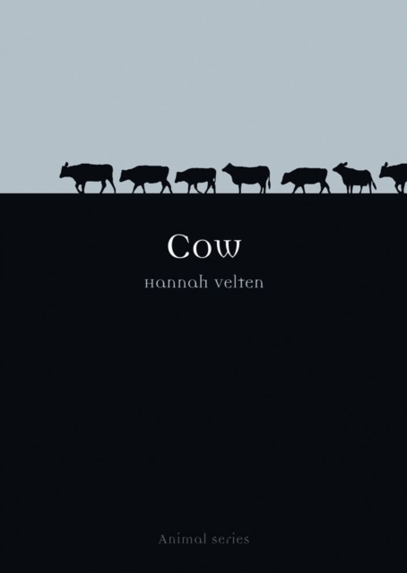 Cow, Paperback / softback Book