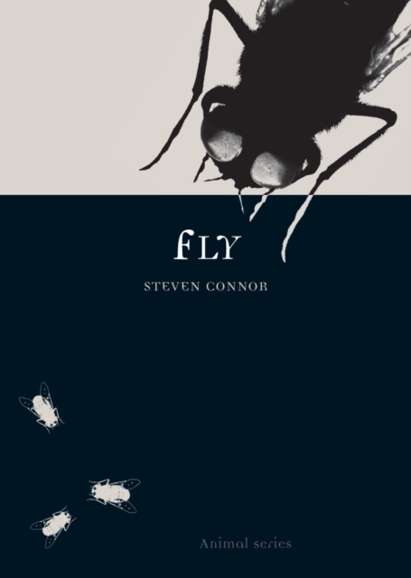 Fly, EPUB eBook