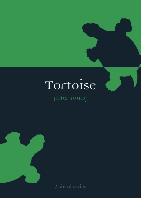 Tortoise, EPUB eBook