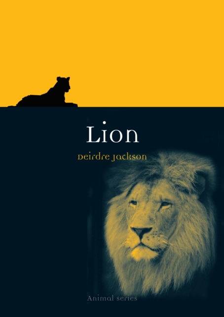 Lion, Paperback / softback Book