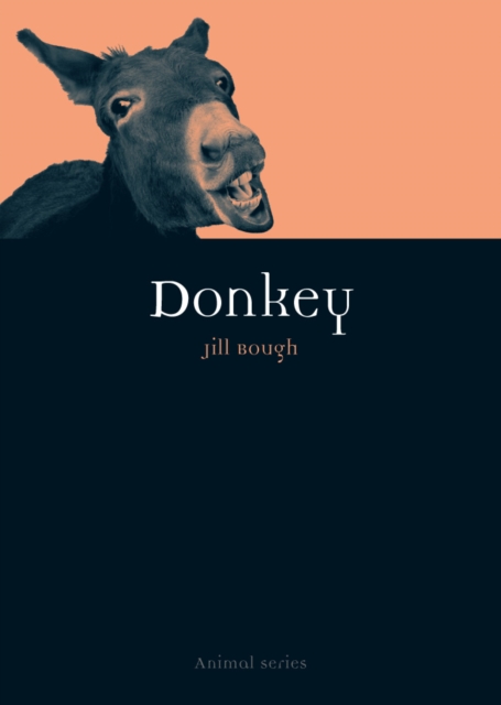 Donkey, EPUB eBook