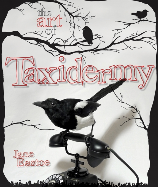 The Art of Taxidermy, Hardback Book