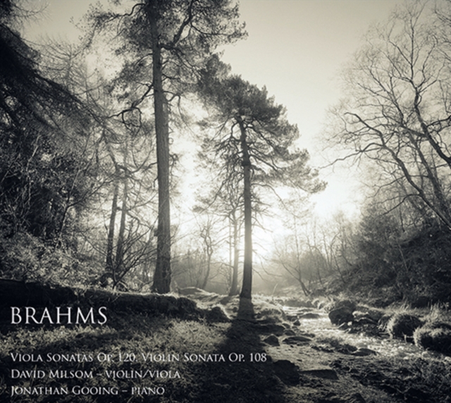 Brahms : Viola Sonatas Op. 120, Violin Sonata Op. 108, CD-Audio Book