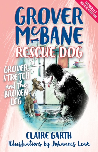 Grover McBane Rescue Dog: Grover, Stretch and the Broken Leg (Book 4), Paperback / softback Book