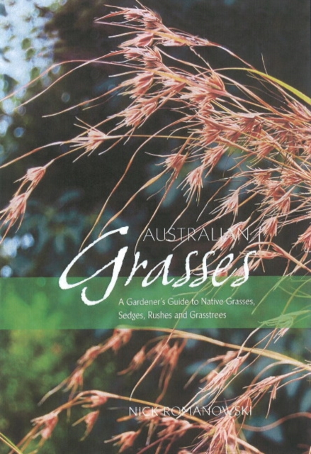 Australian Grasses : A Gardener's Guide to Native Grasses, Sedges, Rushes & Grasstrees, Paperback / softback Book