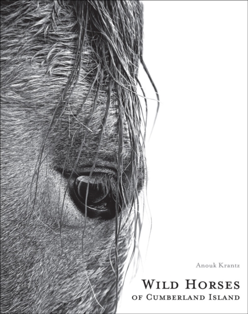 Wild Horses of Cumberland Island, Hardback Book