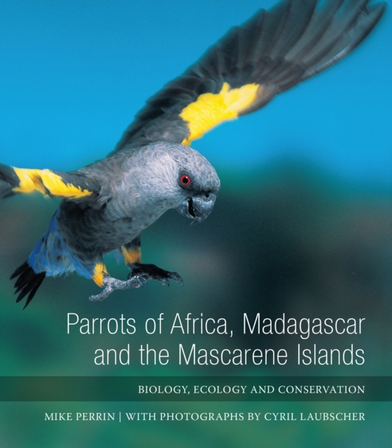 Parrots of Africa, Madagascar and the Mascarene Islands : Biology, ecology and conservation, Hardback Book