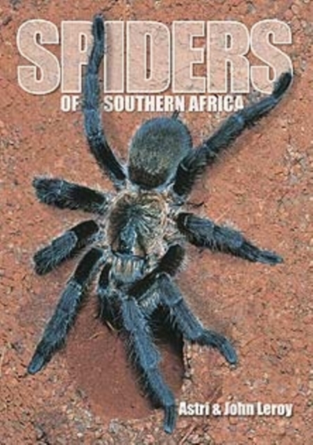 Spiders of Southern Africa, Paperback / softback Book