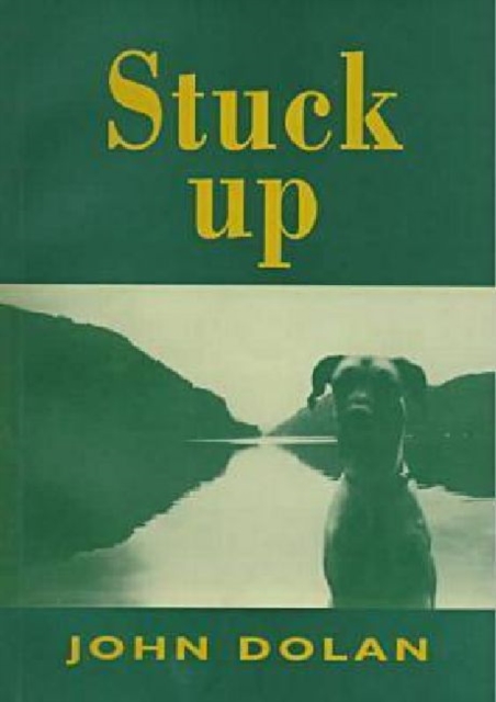 Stuck Up, Paperback / softback Book